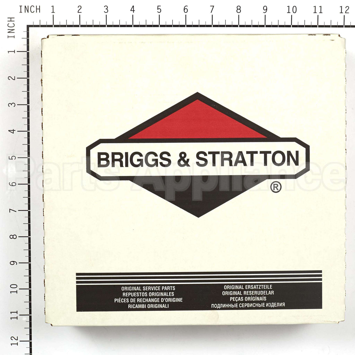 199629GS Briggs & Stratton Seal-Foam