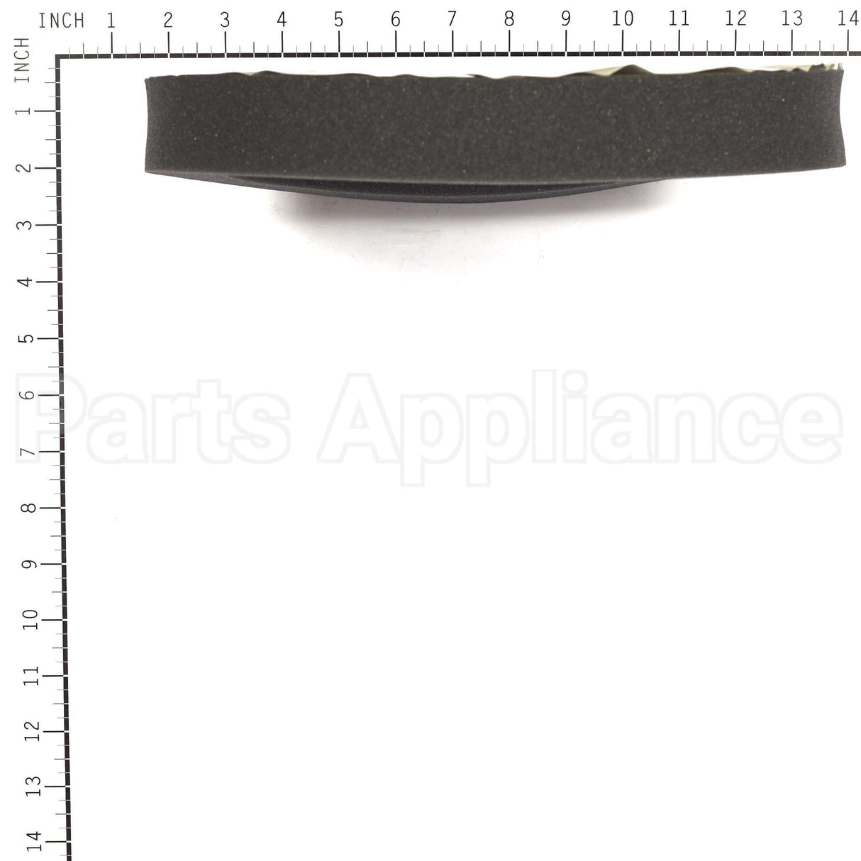 199629GS Briggs & Stratton Seal-Foam