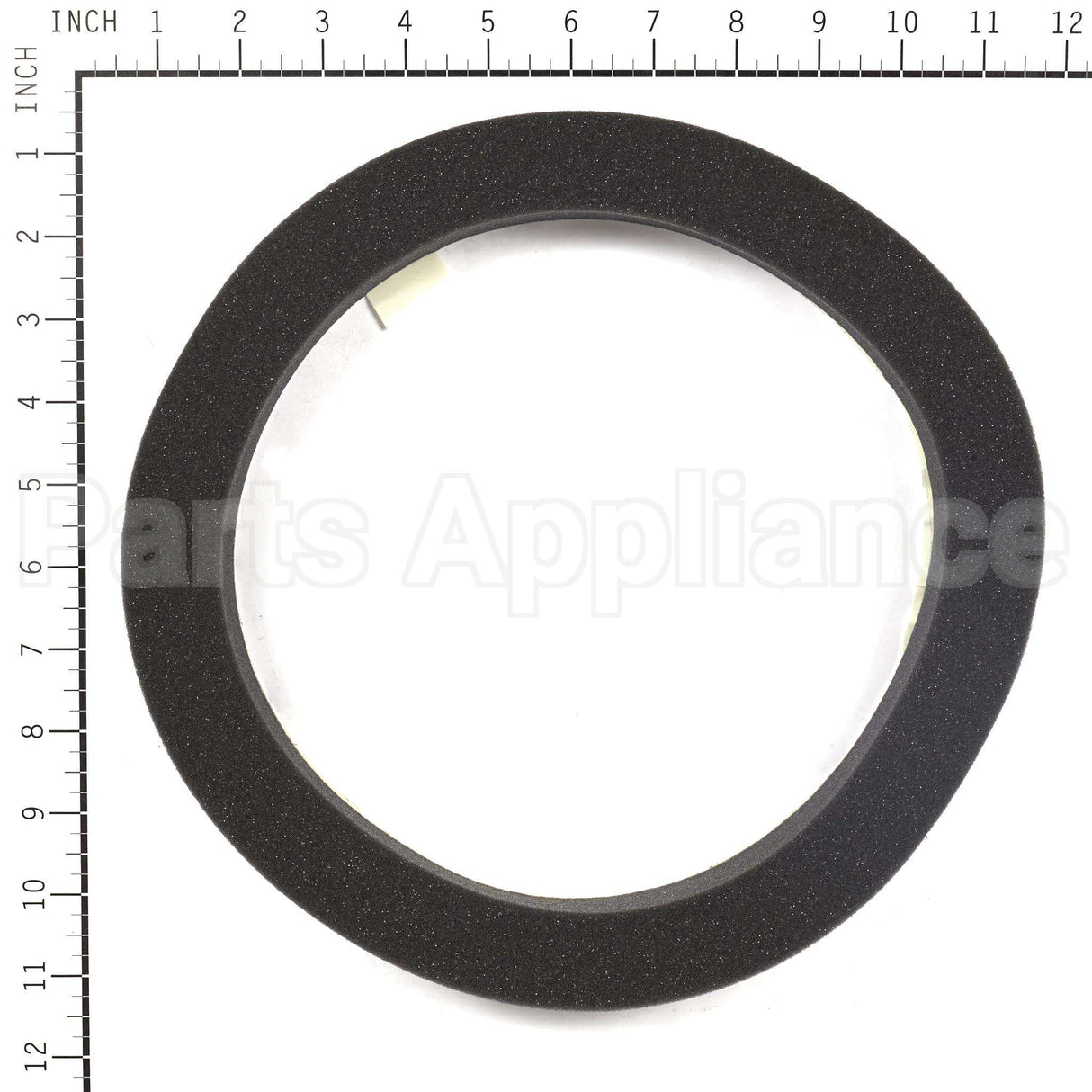 199629GS Briggs & Stratton Seal-Foam