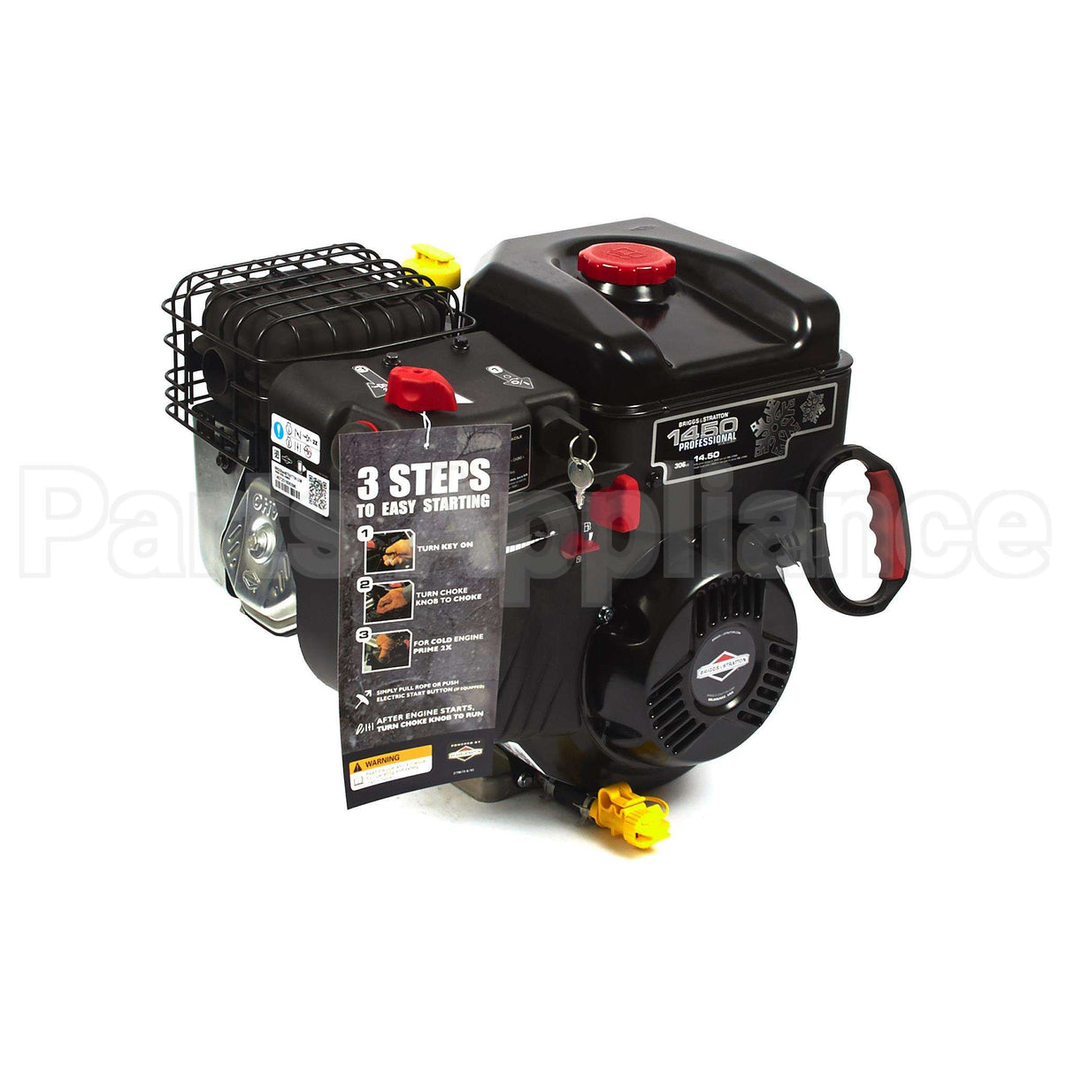 19J137-0008-F1 Briggs & Stratton Engine Packed Single Carton