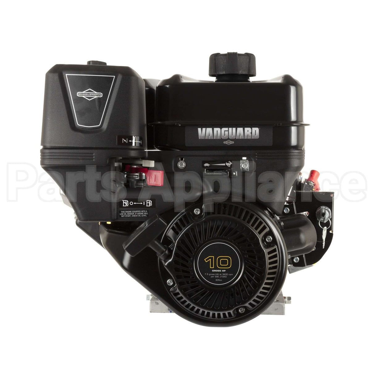 19L237-0319-F1 Briggs & Stratton Engine Packed Single Carton