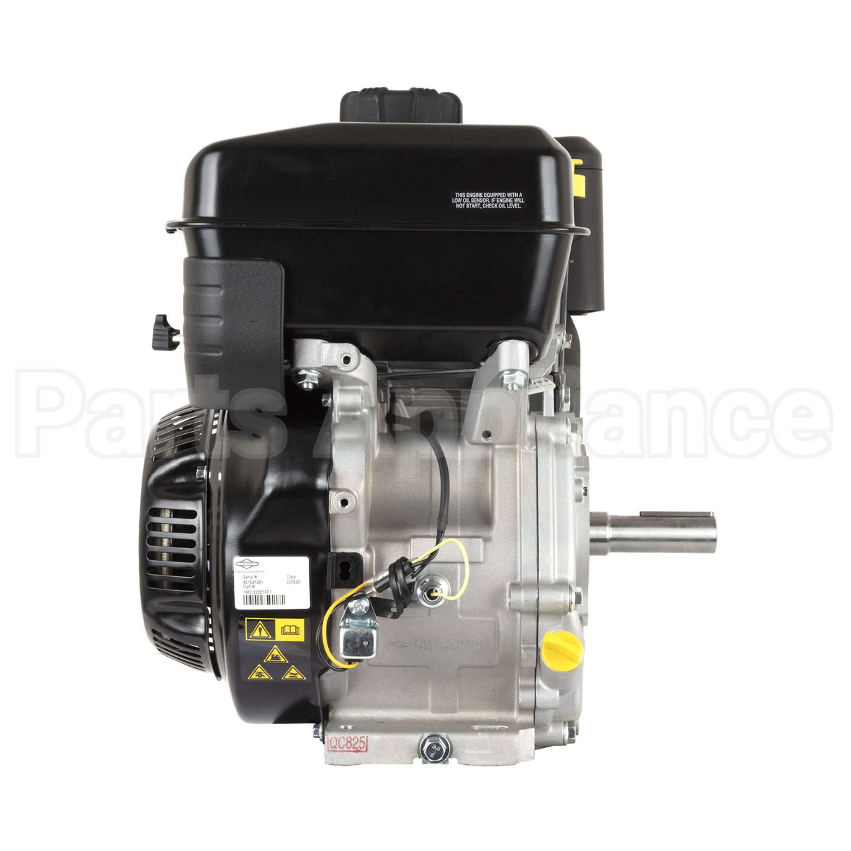 19N132-0019-F1 Briggs & Stratton Engine Packed Single Carton