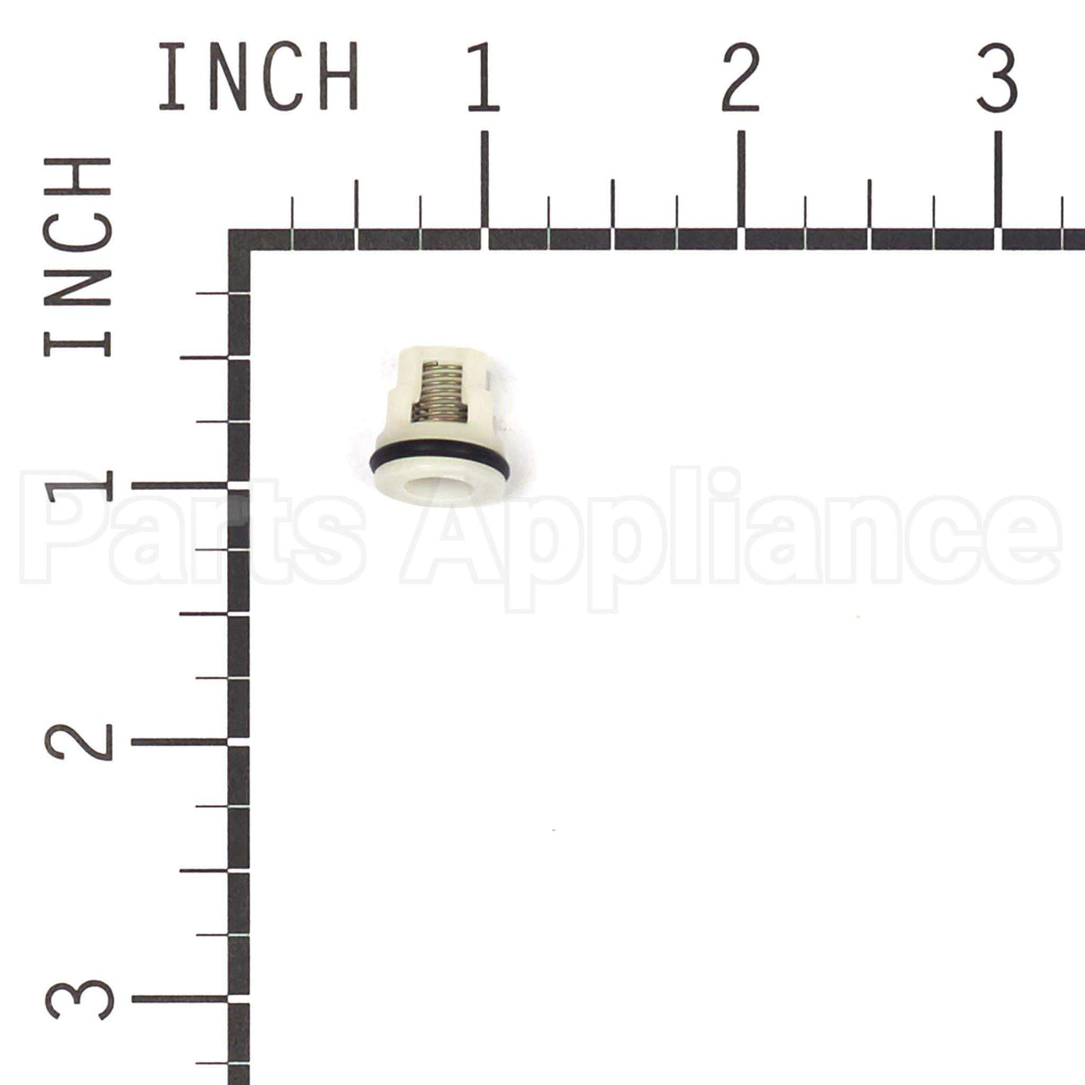 200344GS Briggs & Stratton Kit-Check Valve