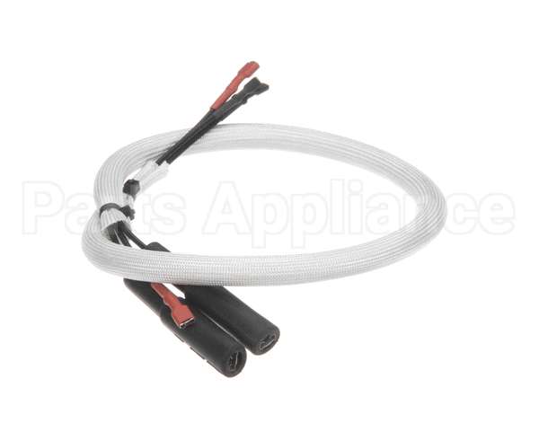 2019693 Bki Wiring, Burner Electrodes