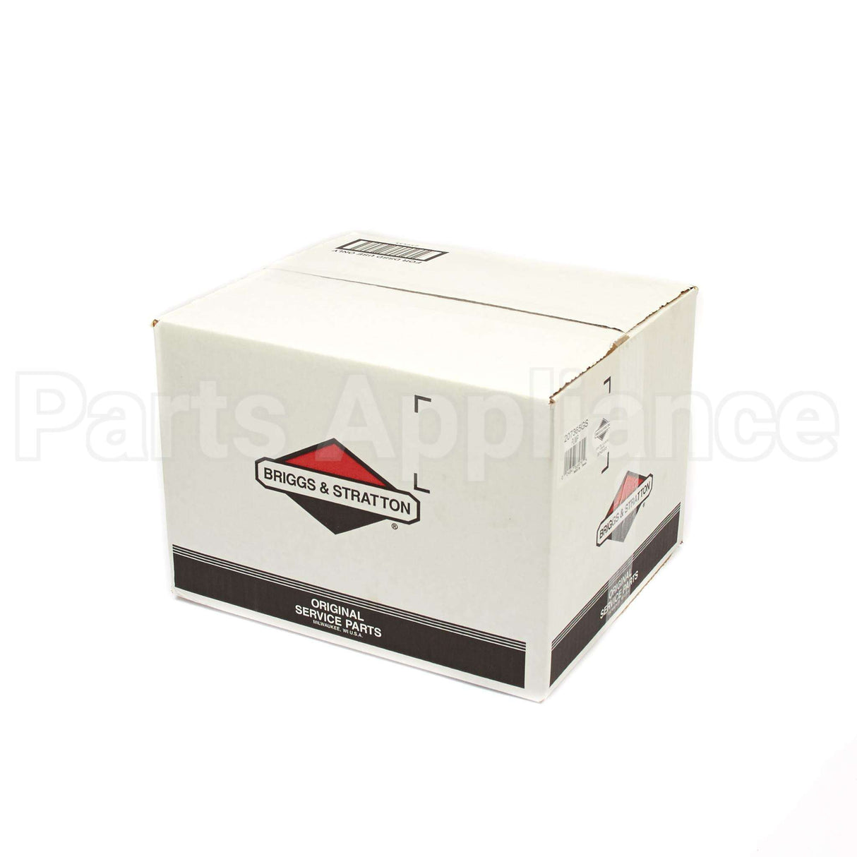 207365GS Briggs & Stratton Pump