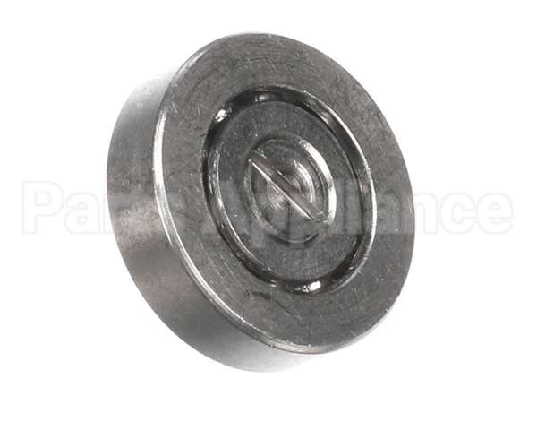 2100438 Antunes Bearing, Roller Sst