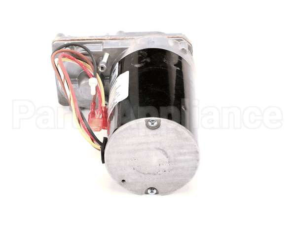 2195297 Multiplex Motor,Gear,Bison,Bic
