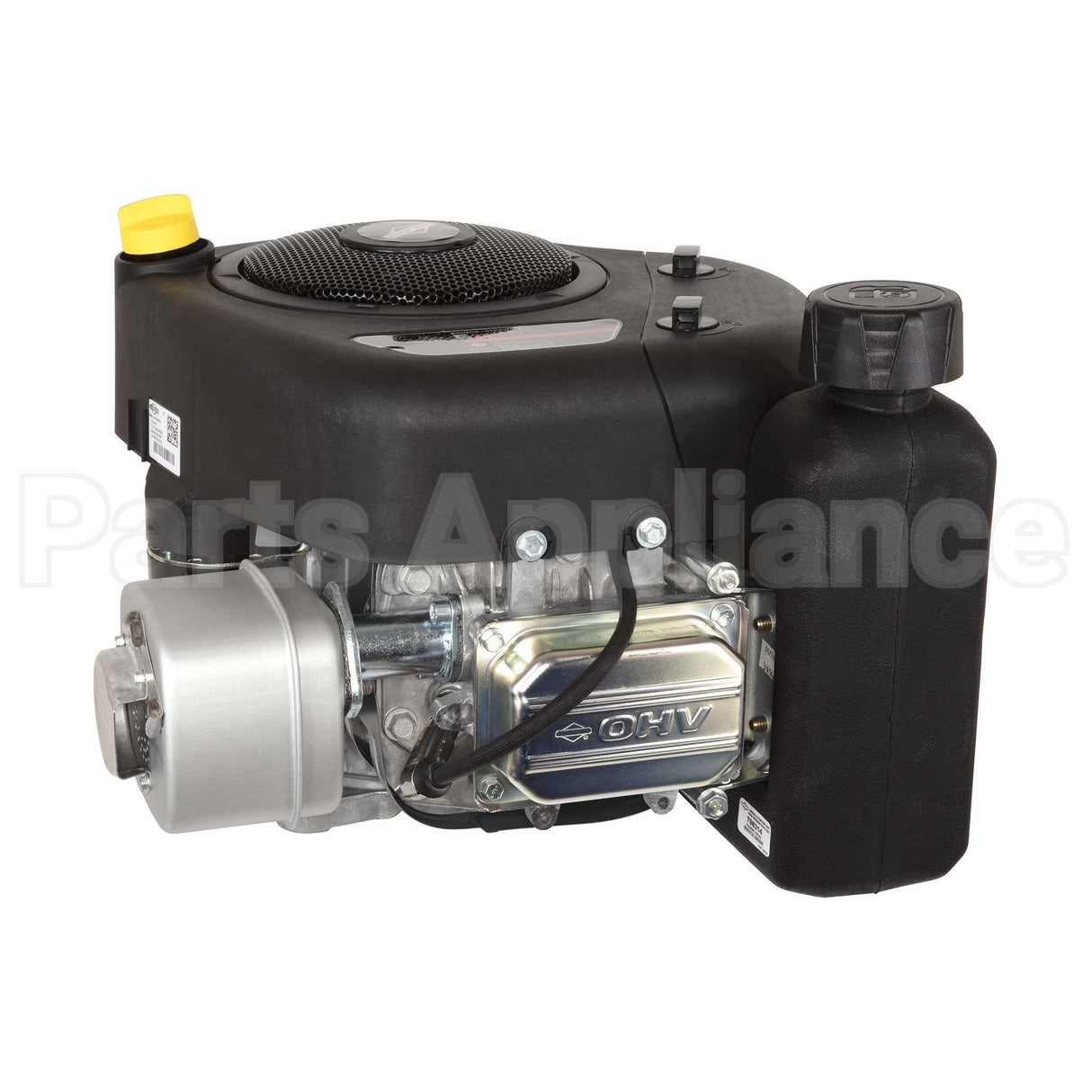 21R807-0033-F1 Briggs & Stratton Engine Packed Single Carton