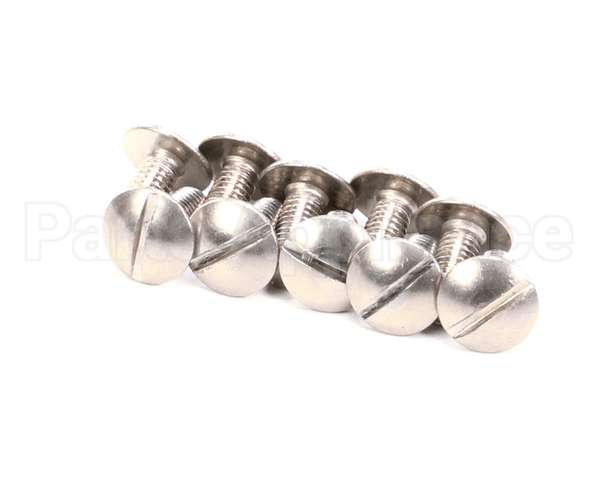 22-6024 Electrolux Professional Screw; 10 Pcs
