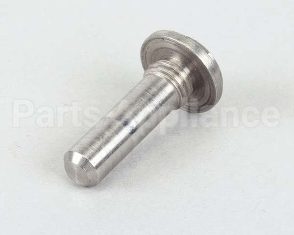 22415P Silver King Pin Hinge
