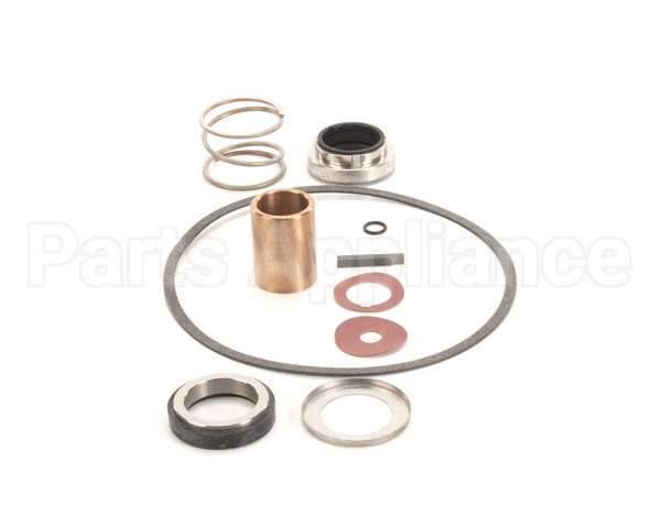 22462 Power Soak Systems Pump Seal Kit - Burks ( I )
