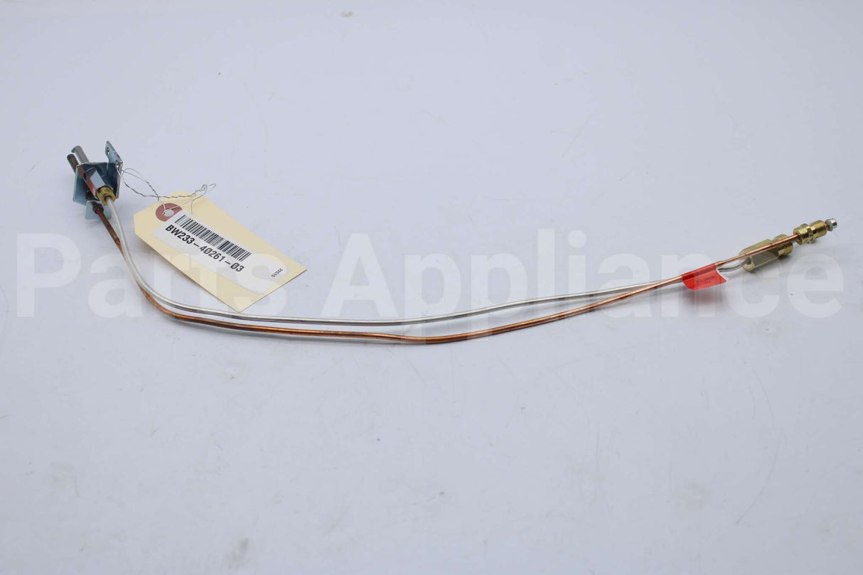 233-40261-03 Bradford White Lp Pilot Assemby