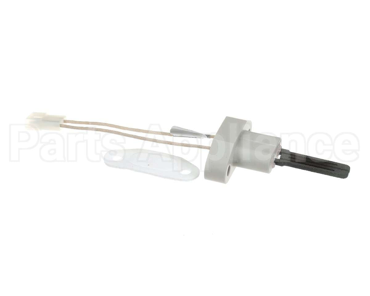 2400-286 Bradford White Ignitor W/Gasket