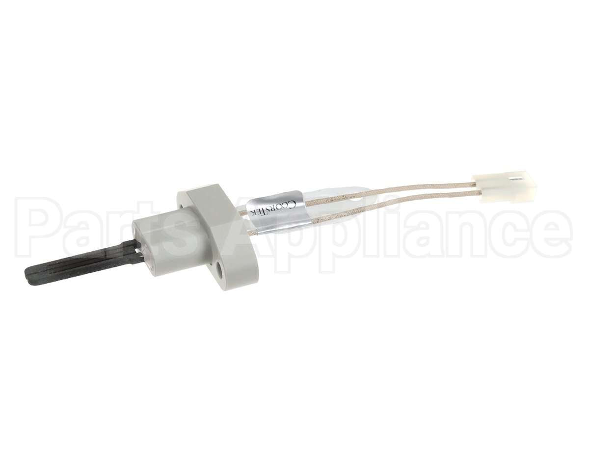 2400-286 Bradford White Ignitor W/Gasket