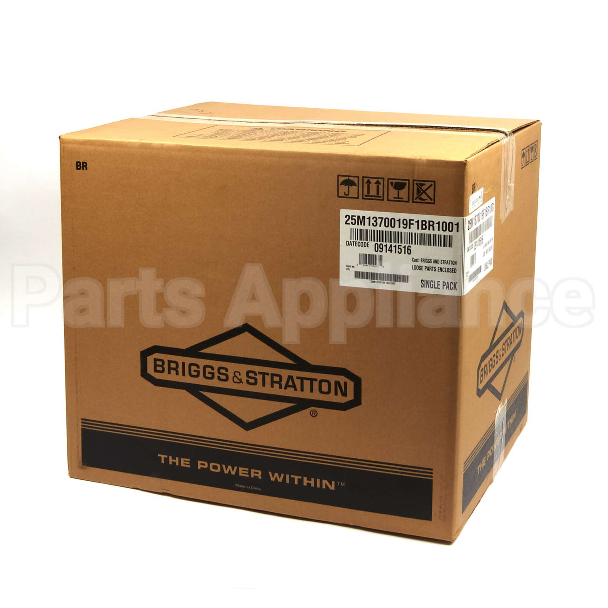 25M137-0019-F1 Briggs & Stratton Engine Packed Single Carton