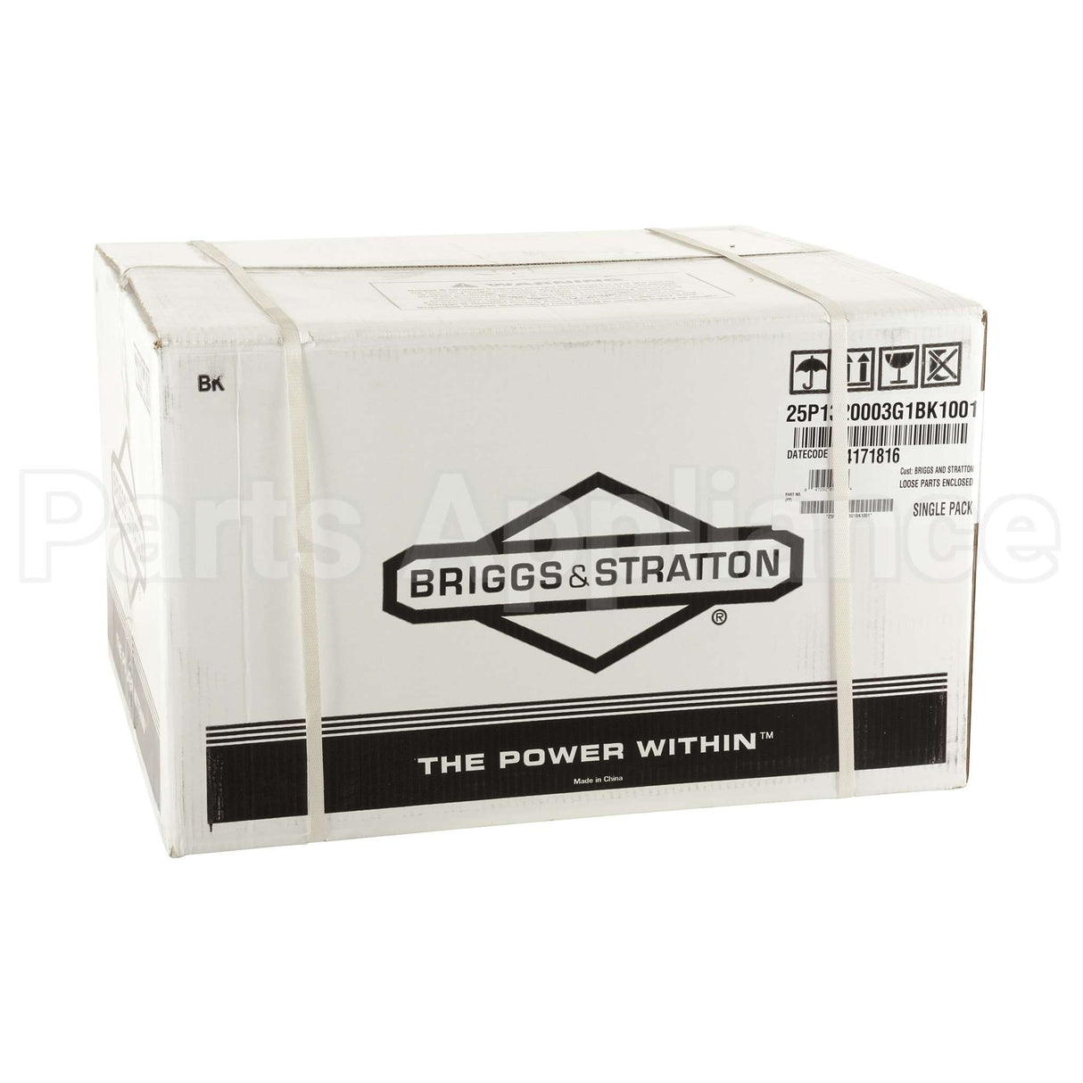 25P132-0003-G1 Briggs & Stratton Engine Packed Single Carton