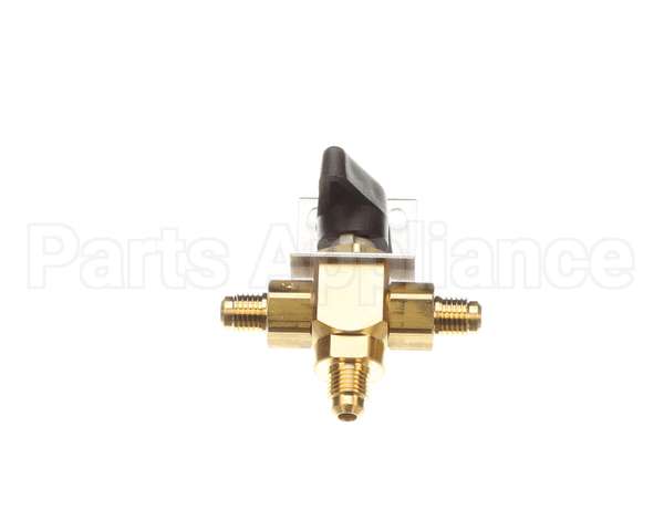 2619199 Cornelius Valve Chnagover Co2