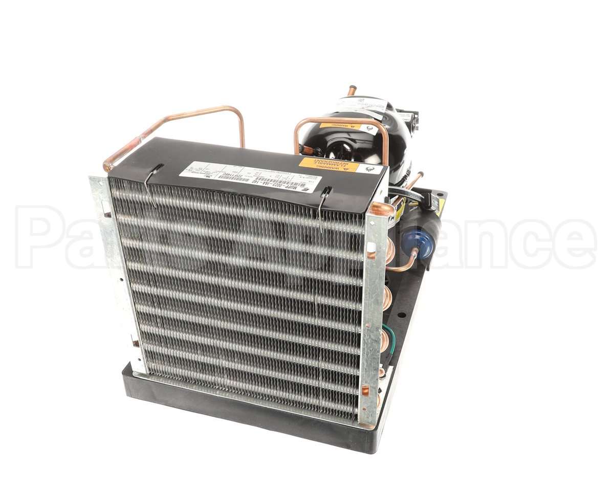 2A8791-01 Hoshizaki Condensing Unit