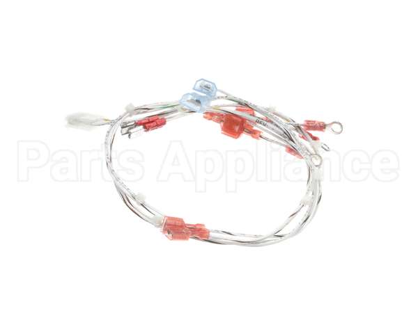 2E-EZG-713-2 Lang Harness,Burner Valve