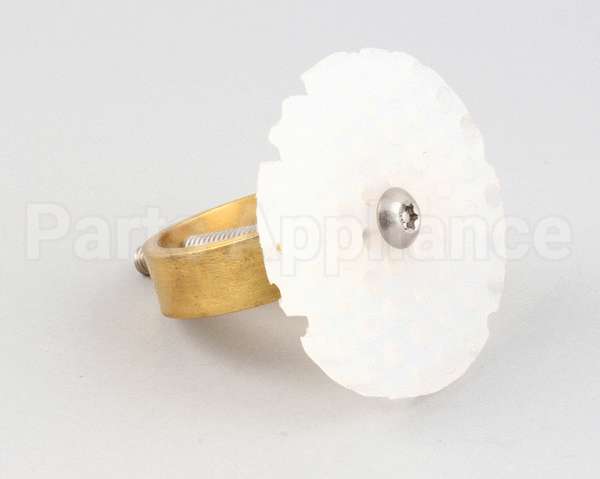 2INCH Drain Lock Drain Lock 2 Inch Size