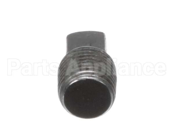 2K-70308-01 Lang Pipe Plug Reg 1/8 Npt Blk