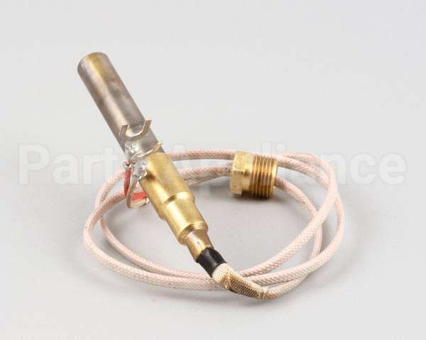 2T-42195 Wells Thermopile Fgs-40
