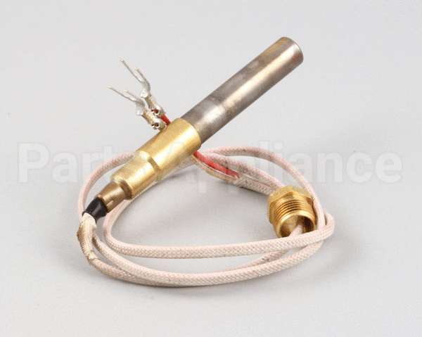 2T-42195 Wells Thermopile Fgs-40