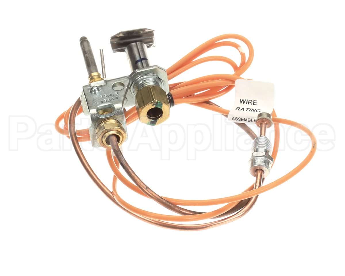 3000014113 Jade Pilot W/Elect&Thermo Assy