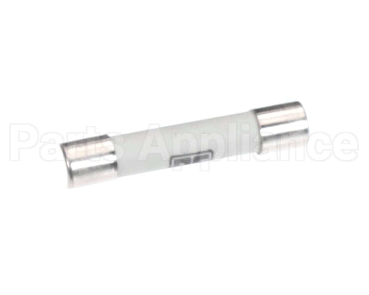 30025528 Flexeserve Fuse 6.3Amp
