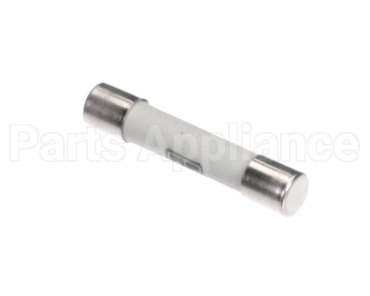 30025528 Flexeserve Fuse 6.3Amp