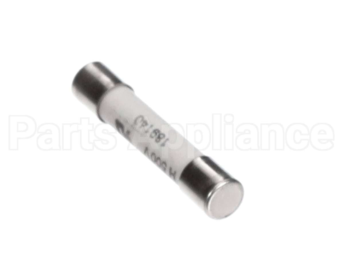 30049555 Flexeserve Fuse 10 Amp