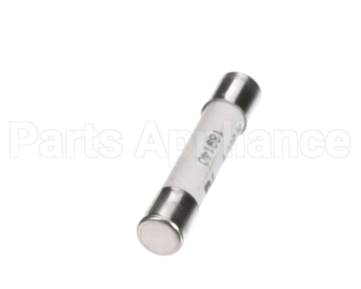 30049555 Flexeserve Fuse 10 Amp