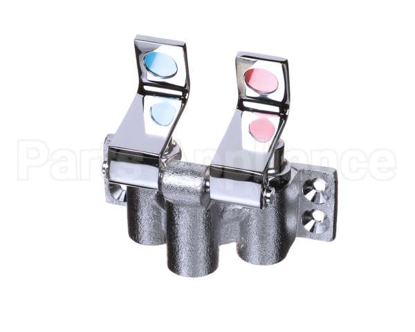 300604 Eagle-Metal Masters Double Foot Valve 1/2" Npt