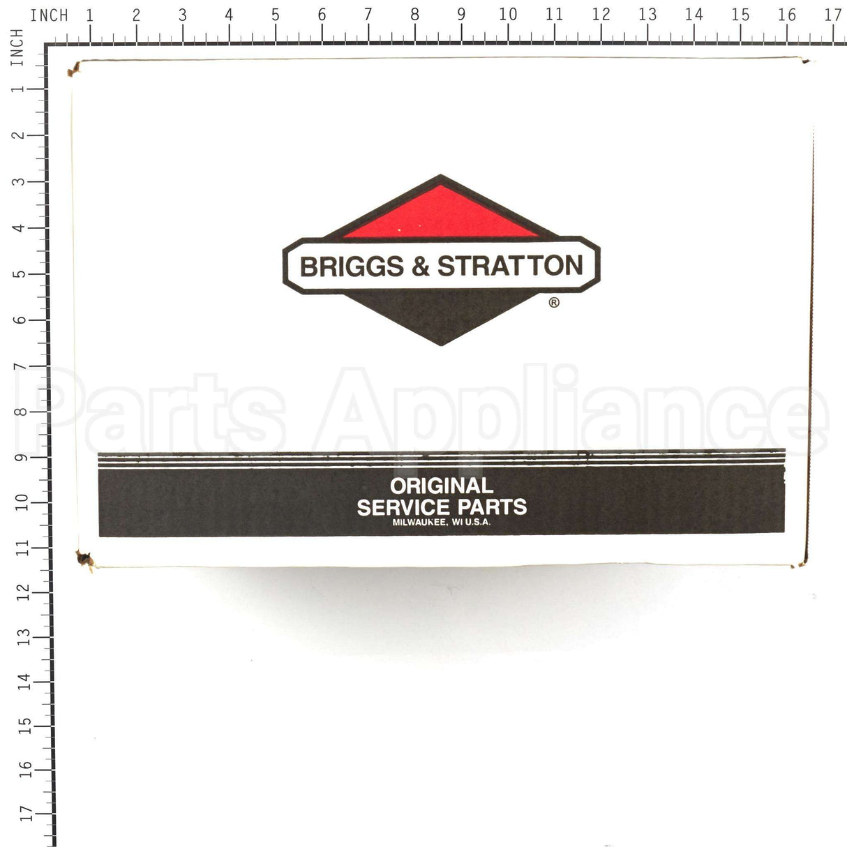 311553GS Briggs & Stratton Pump