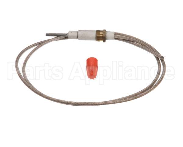 31253 Blodgett Kit, Flame Sensing