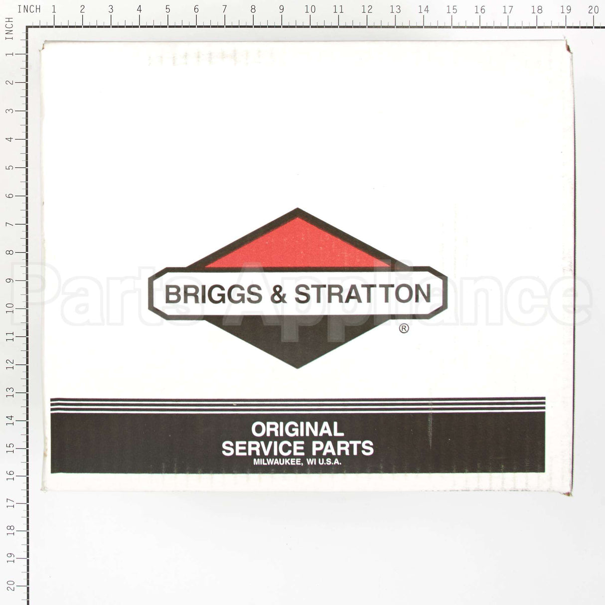 314441GS Briggs & Stratton Pump