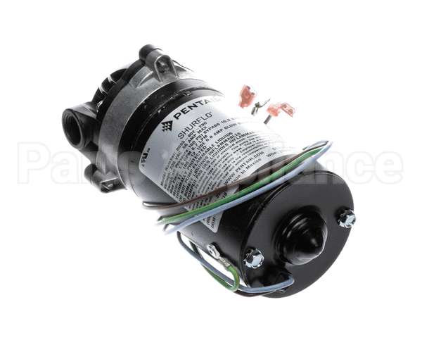 3149 Cornelius Pump / Mot 230V 50/60 Hz