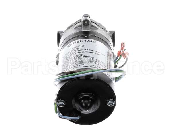 3149 Cornelius Pump / Mot 230V 50/60 Hz