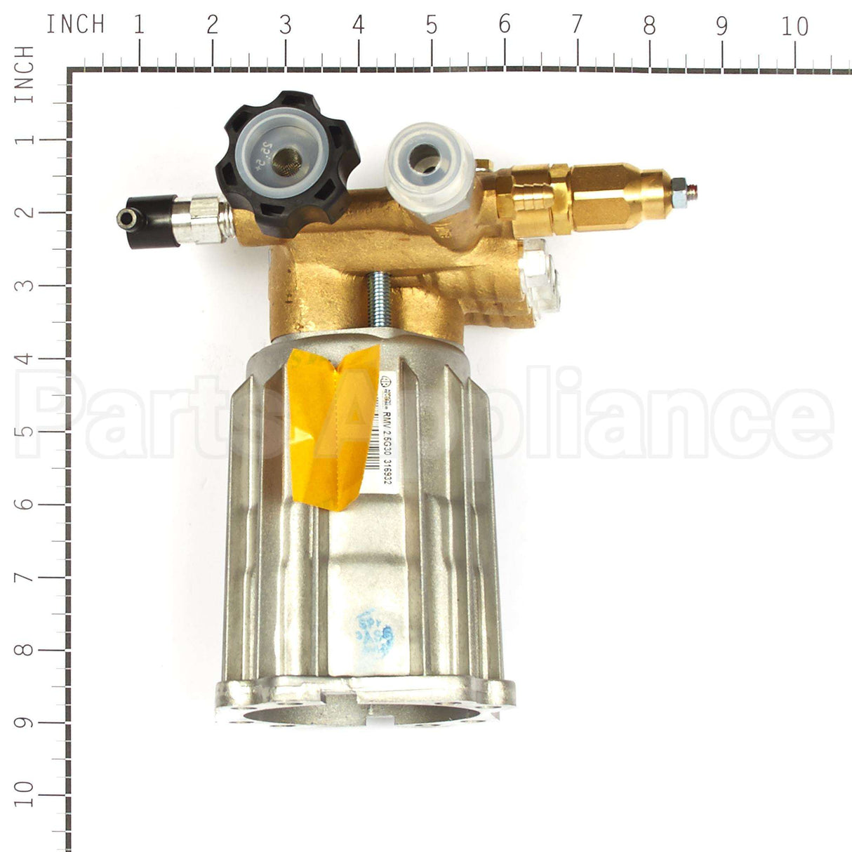 317054GS Briggs & Stratton Pump