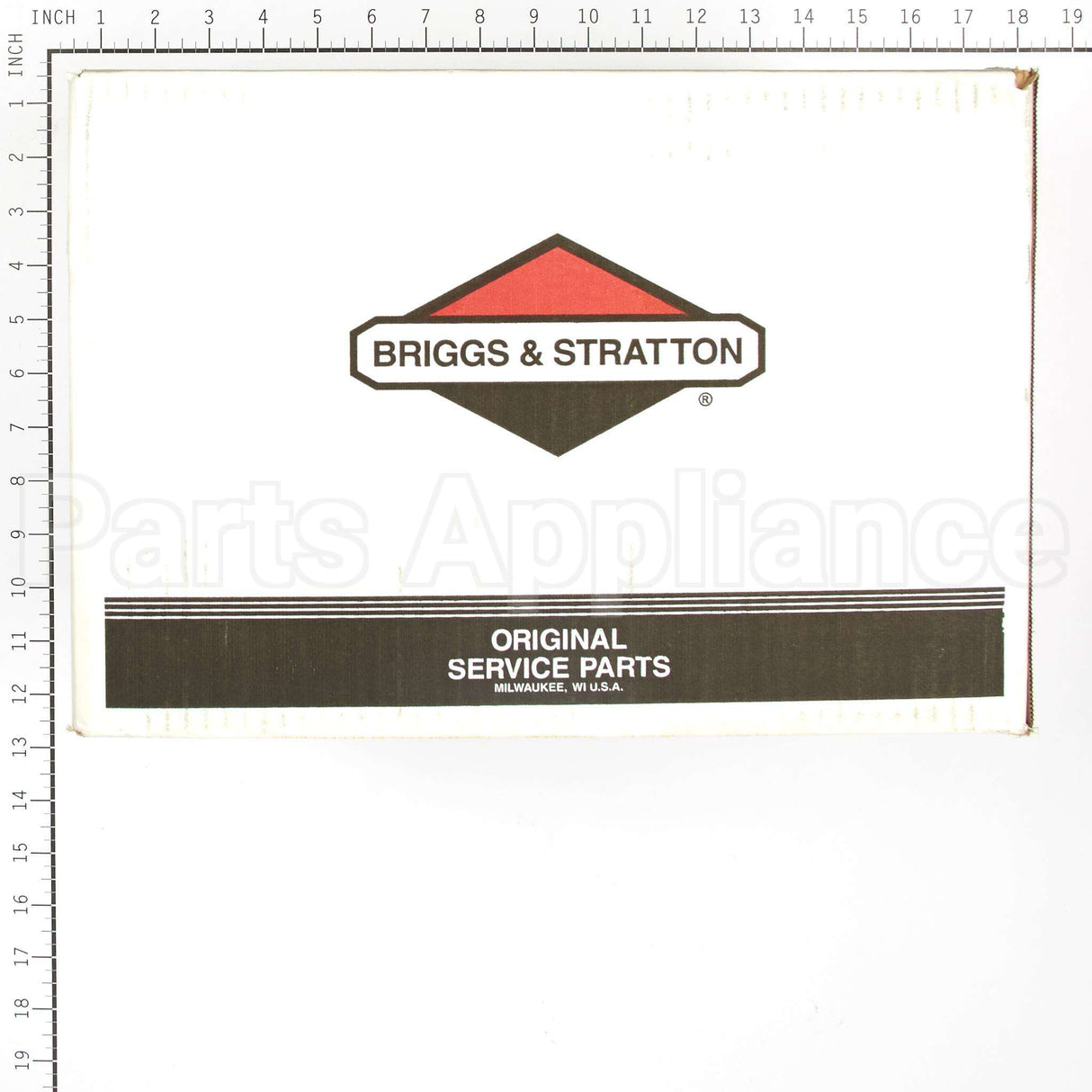 317259GS Briggs & Stratton Pump