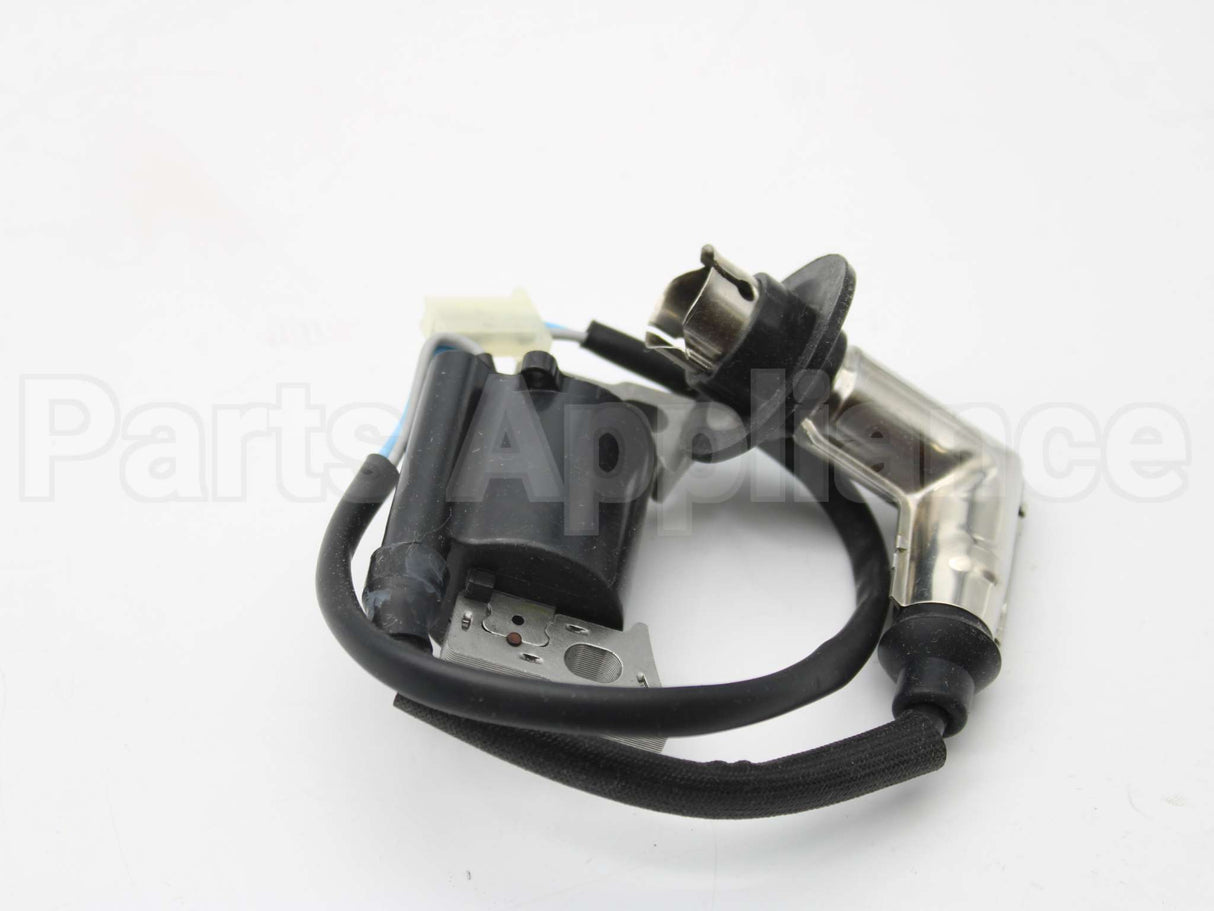 317436GS Briggs & Stratton Coil-Ignition