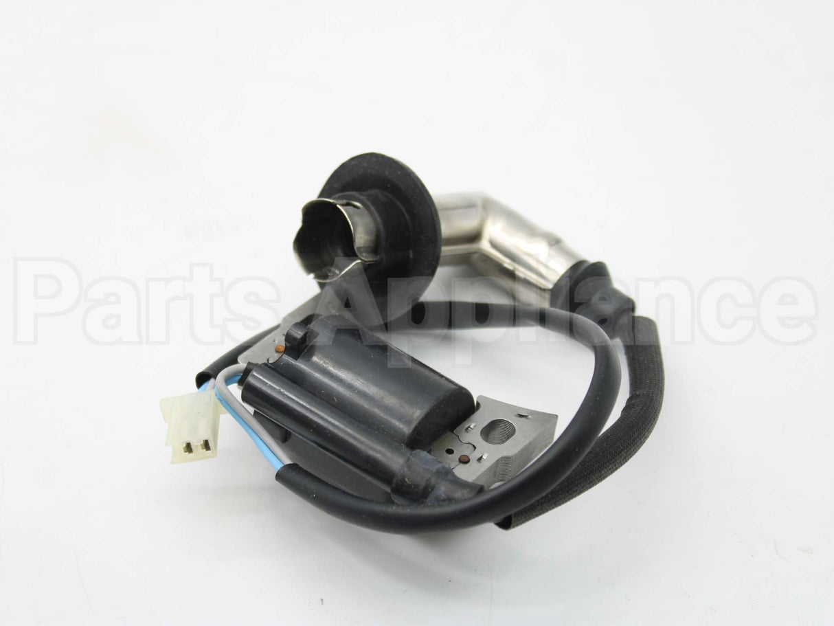 317436GS Briggs & Stratton Coil-Ignition