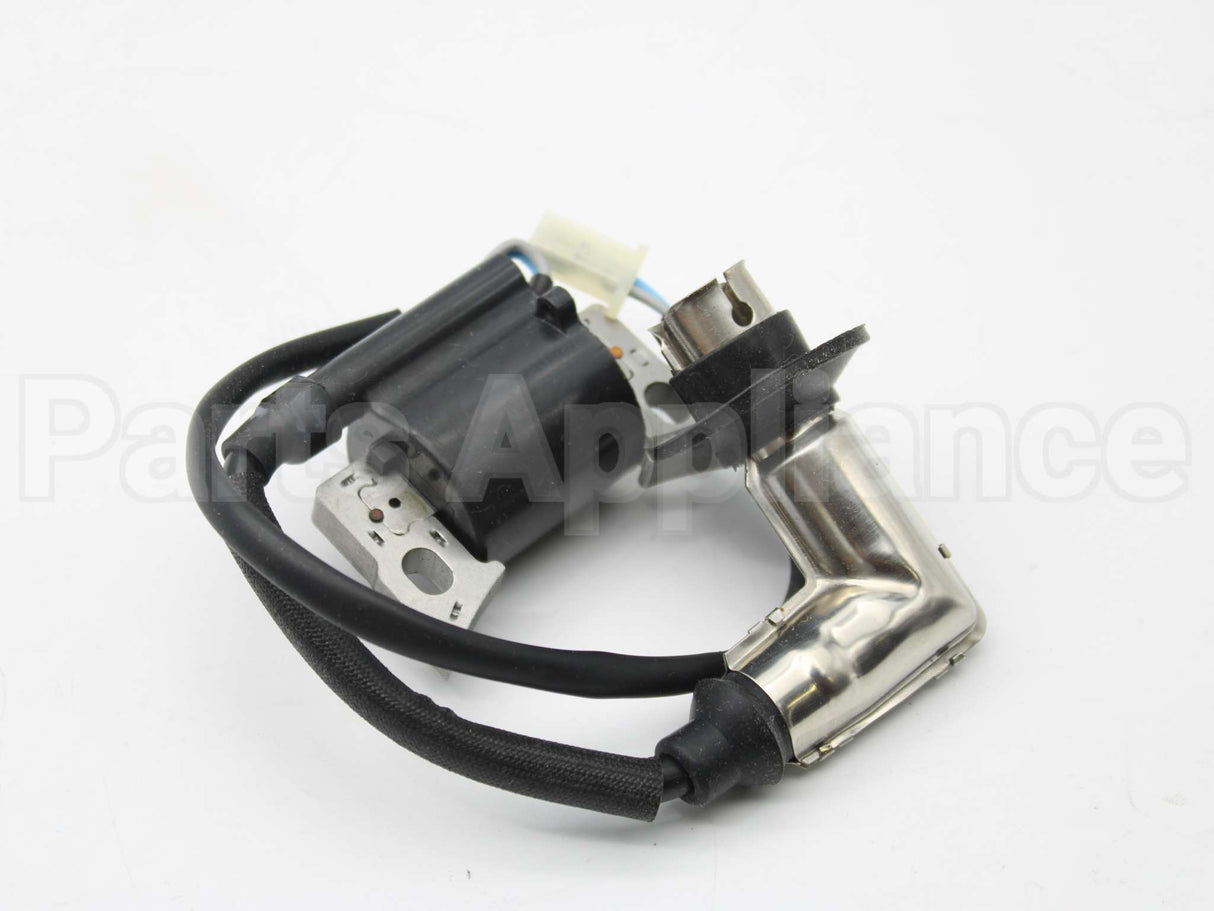 317436GS Briggs & Stratton Coil-Ignition