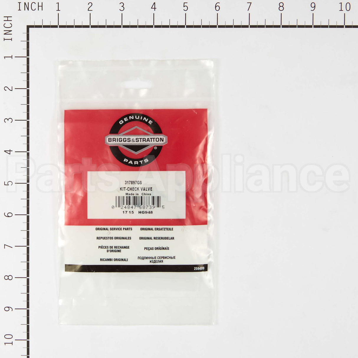 317897GS Briggs & Stratton Kit-Check Valve