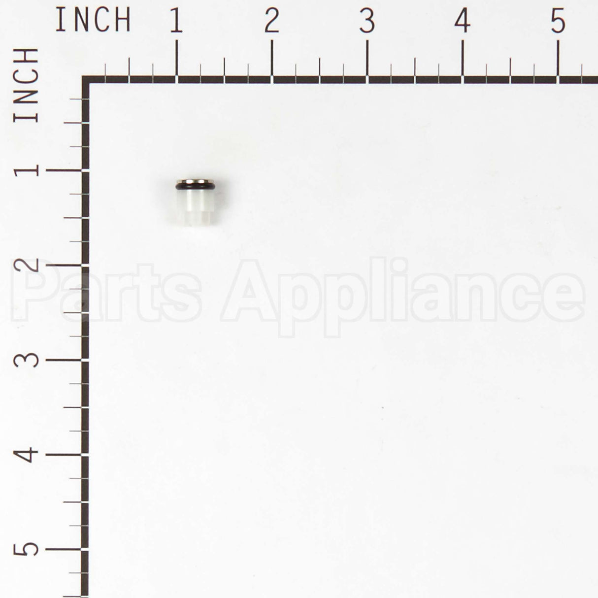 317897GS Briggs & Stratton Kit-Check Valve