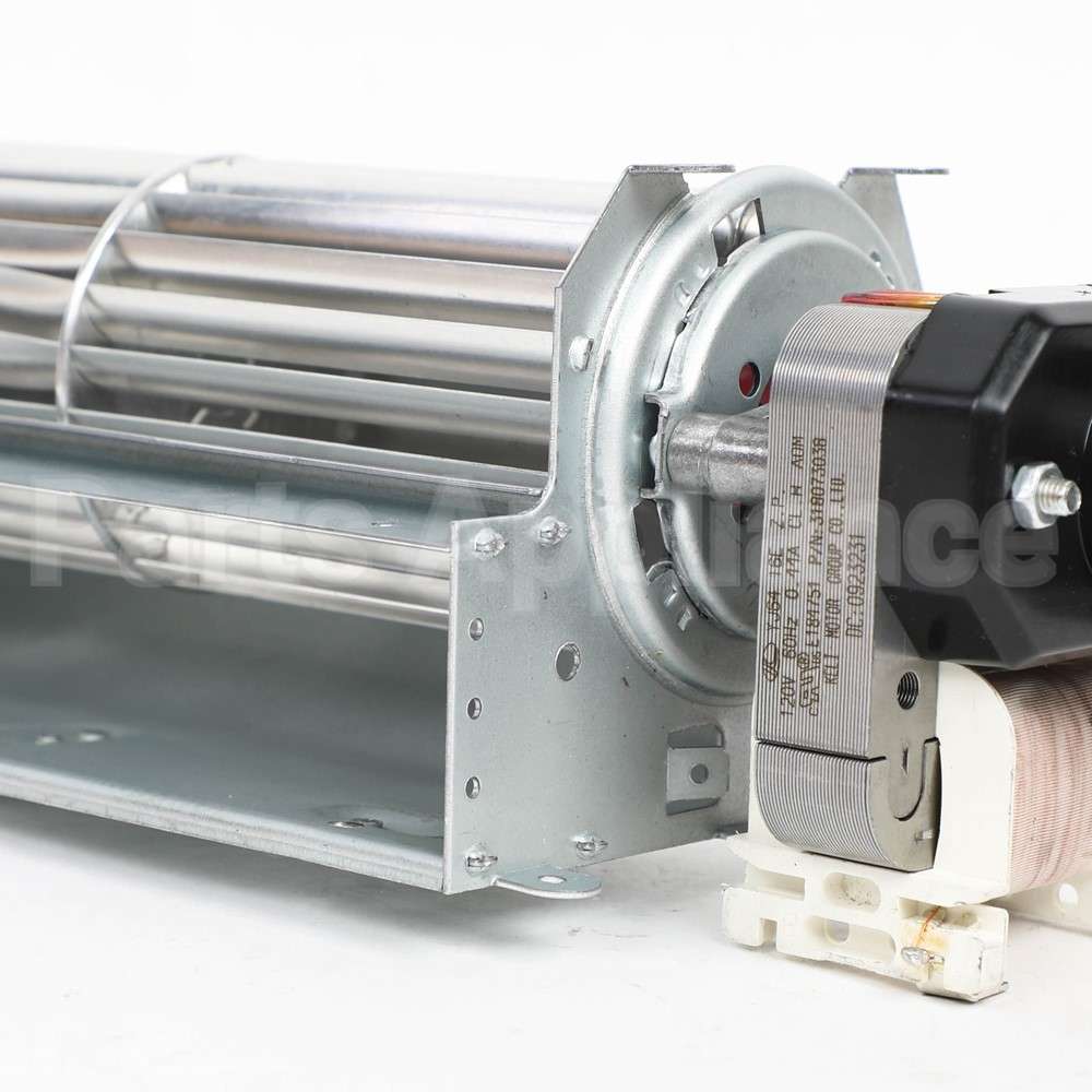 318073038 Frigidaire Motor