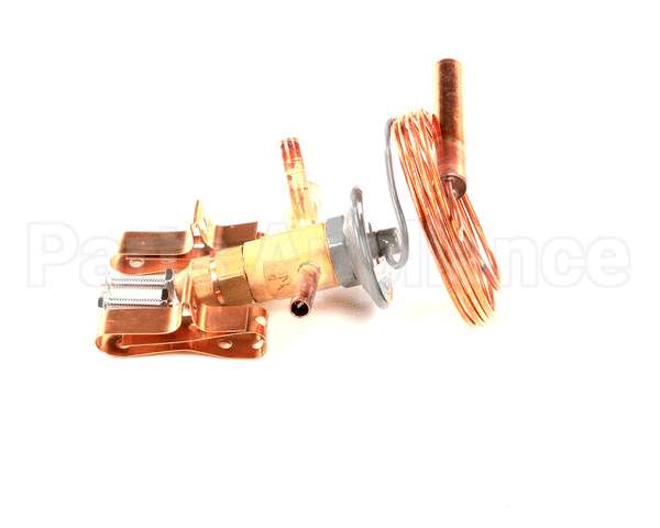 3388 Preprite Desmon Thermal Expansion Valve R300152U