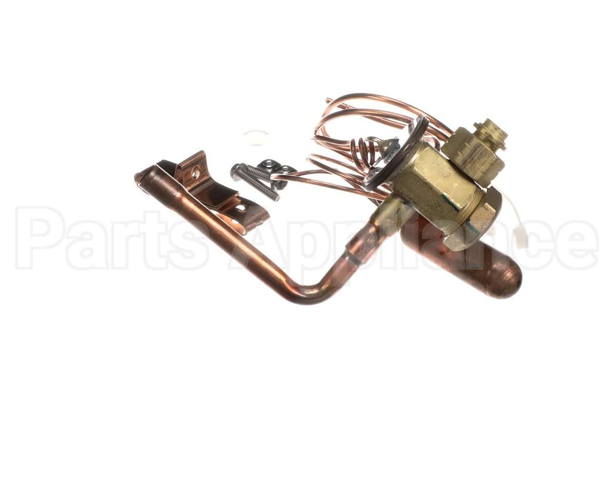 340620-704 Bryant Payne Txv Kit