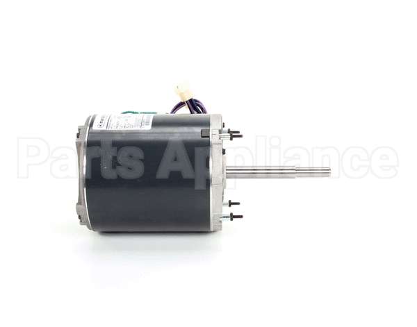 369539 Lincoln Motor 115V 2'' Gas
