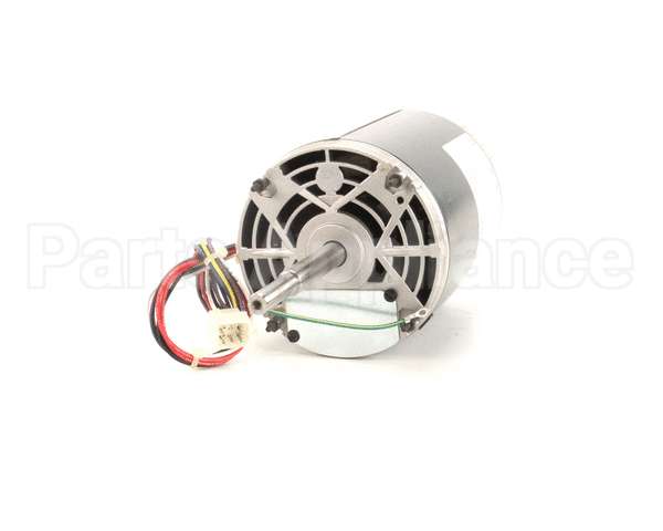 369759 Lincoln Motor 50Hz 220/240